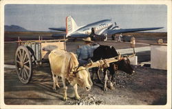 American Airlines Postcard