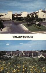 Walden Square Postcard