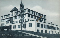 Main Building, Swan Lake Hotel New York Postcard Postcard Postcard