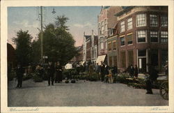 Flower Market Alkmaar, Netherlands Benelux Countries Postcard Postcard