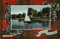 Macintosh Tartan Scotland Postcard Postcard