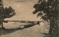 Causeway Postcard