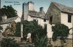 Picturesque Cottage Bermuda Postcard Postcard