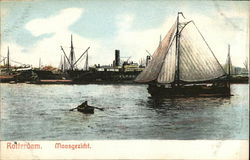 Maasgezicht Postcard