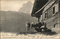 Calm Evening Switzerland Postcard Postcard