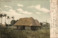 The Cuban Bohio Havana, Cuba Postcard Postcard