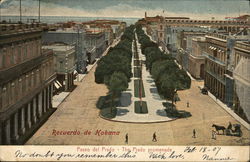 Paseo del Prado - The Prado Promenade Havana, Cuba Postcard Postcard