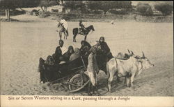 Six or Seven Women sitting in a cart, passing through a Jungle India Postcard Postcard