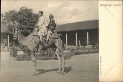 Messenger Camel Postcard