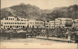 Camel Market Postcard