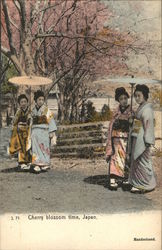 Cherry Blossom Time Japan Postcard Postcard