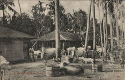 Bengali Village Scene India Postcard Postcard