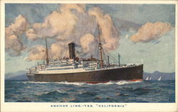 T.S.S. "California" - Anchor Line Steamers Postcard Postcard