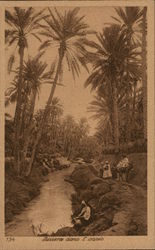 River Scene Middle East Postcard Postcard