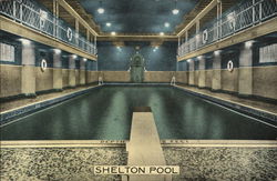 Shelton Pool New York, NY Postcard Postcard Postcard