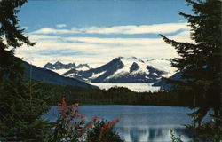 Mendenall Glacier Postcard