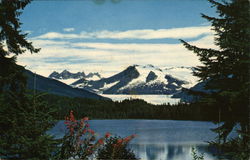 Mendenhall Glacier Postcard