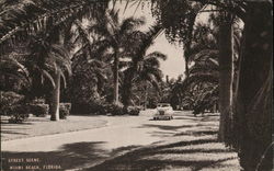 Street Scene Miami Beach, FL Postcard Postcard Postcard