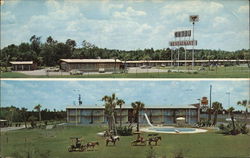 Ashburn Motor Inn Restaurant Postcard