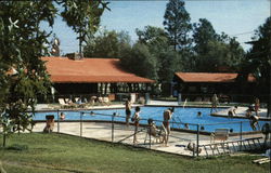 Jellystone Park Camp-Resort Camping Postcard Postcard Postcard