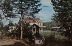 Rustic Bridge at Packard's Camps Postcard