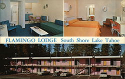 Flamingo Lodge Postcard