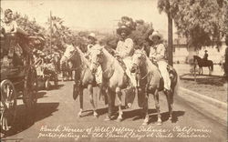 Ranch Horses of Hotel Jeffrey Salinas, CA Postcard Postcard Postcard