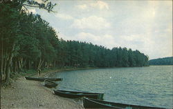 View of the Shoreline, Moon Lake at Moon Beach Camp Eagle River, WI Postcard Postcard Postcard