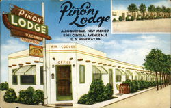 Pinion Lodge Albuquerque, NM Postcard Postcard Postcard