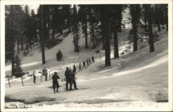 San Bernardino Mountain California Postcard Postcard Postcard