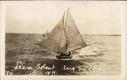 Sail Boat Postcard