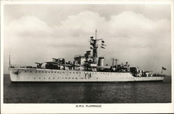 H.M.S. Flamingo Postcard