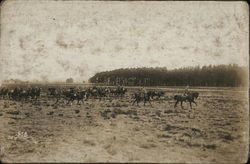 Soldiers on Horseback in Field World War I Postcard Postcard Postcard