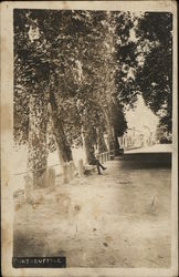 Tree-lined Street with Man Seated on Bench Postcard