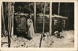 Im verschneiten Wald auf einsamer Wacht Postcard