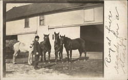 Man and Horses Postcard Postcard Postcard