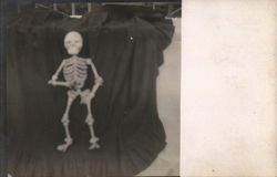 Toy Skeleton Postcard