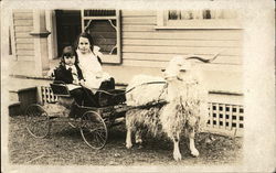 Children in Goat Pulled Cart Spokane, WA Goats Postcard Postcard Postcard