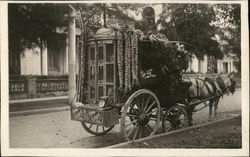 Horse-Drawn Grocery Store Havana, Cuba Postcard Postcard Postcard