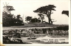 Cypress Court Golf Course Postcard