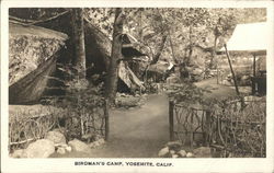 Birdman's Camp Yosemite, CA Yosemite National Park Postcard Postcard Postcard