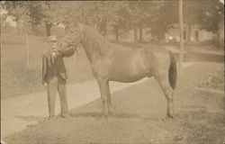 Man and Horse Horses Postcard Postcard Postcard