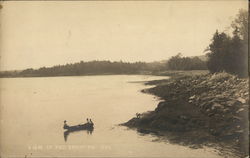 View of Beach and River Postcard