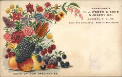 Compliments H.J. Weber & Sons Nursery Co. Missouri Advertising Postcard Postcard Postcard