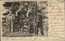 The Hunters, Sullivan County Postcard