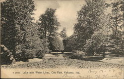 Lake with Water Lilies, City Park Postcard