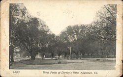 Trout Ponds at Dorney's Park Postcard