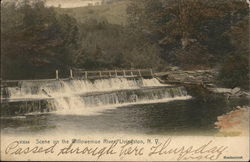 Scene on the Willowemoe River Livingston, NY Postcard Postcard Postcard