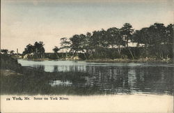 Scene on York River Postcard