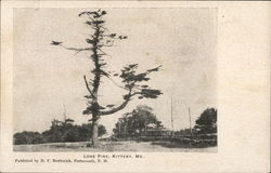 Lone Pine Postcard